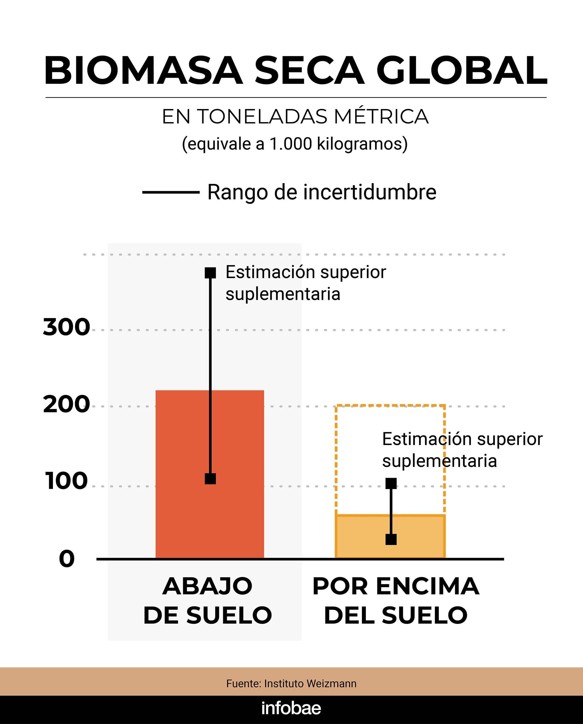 infografia