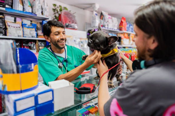 Alimentación, cuidado y atención médica son los principales rubros de gasto en mascotas en Colombia - crédito iStock