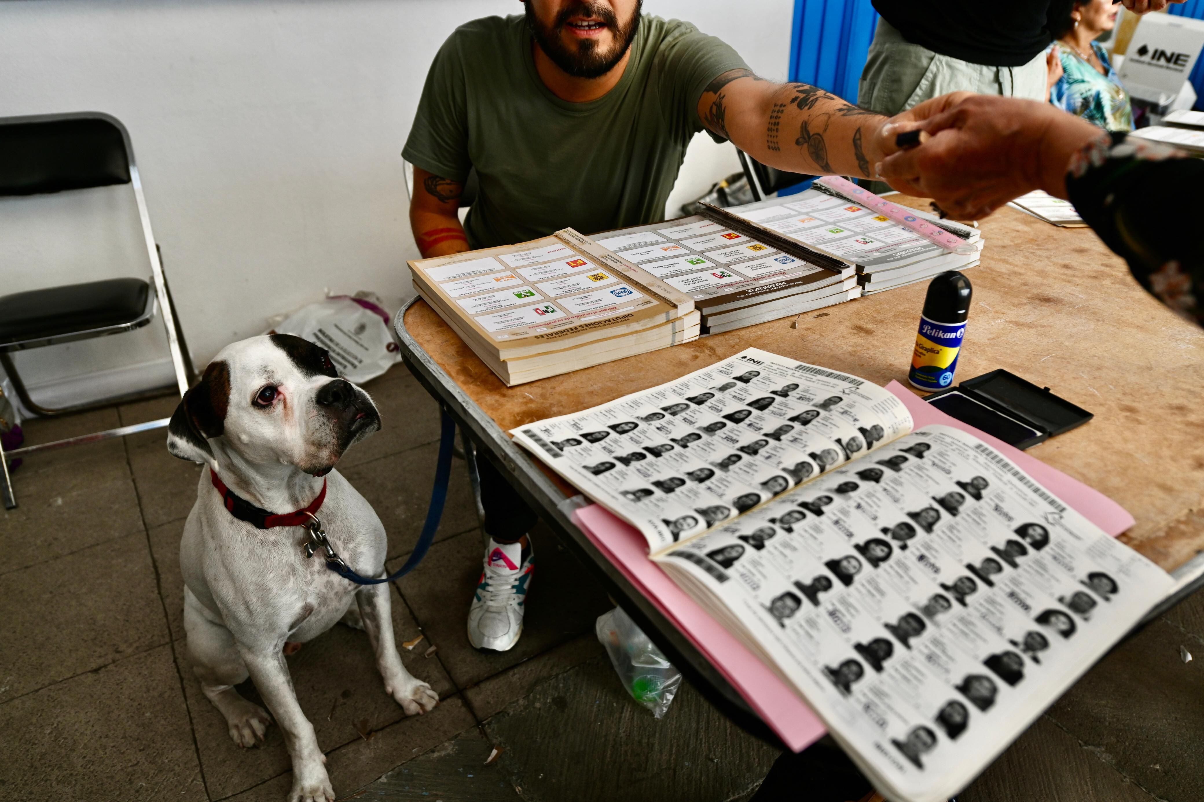 Vecinos de la colonia Juárez,  votando en la sección 4852 en la alcaldía Cuauhtémoc, en las votaciones de este proceso electoral 2024. Hoy en la Ciudad de México. Infobae México/Javier Lira Otero