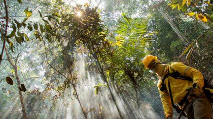 La deforestación de la selva amazónica responde por el 40 % de las emisiones de gases de Brasil y subraya la preocupación que existe en el mundo por el aumento de la tala de árboles y los incendios en esa región. EFE/Joédson Alves/Archivo
