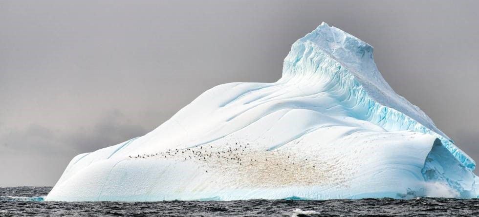 En 1997 la Administración Nacional Oceánica y Atmosférica de Estados Unidos (NOAA) detectó un misterioso sonido de ultra baja frecuencia en las inmediaciones del Punto Nemo que llamó “bloop”. Una de las hipótesis sobre su origen es que se trataría del ruido que producen los icebergs al fracturarse