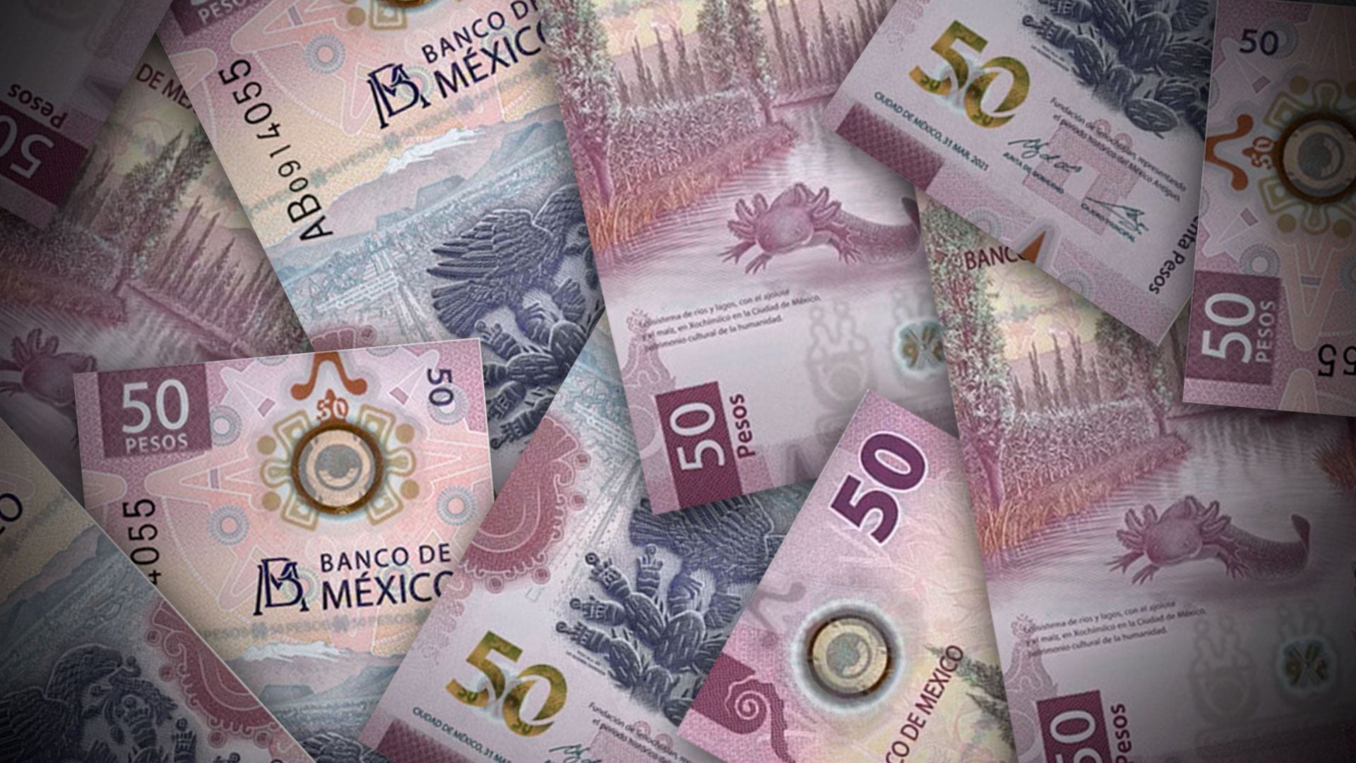 La producción de billetes falsos crece, mientras aumenta el 'chulco' –  Diario La Hora