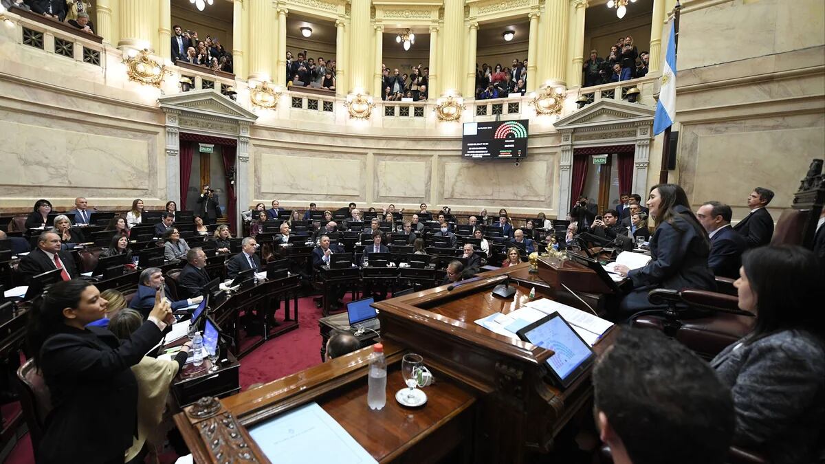 El Gobierno cedió en artículos clave y el Senado aprobó la Ley Bases, que ahora vuelve a Diputados