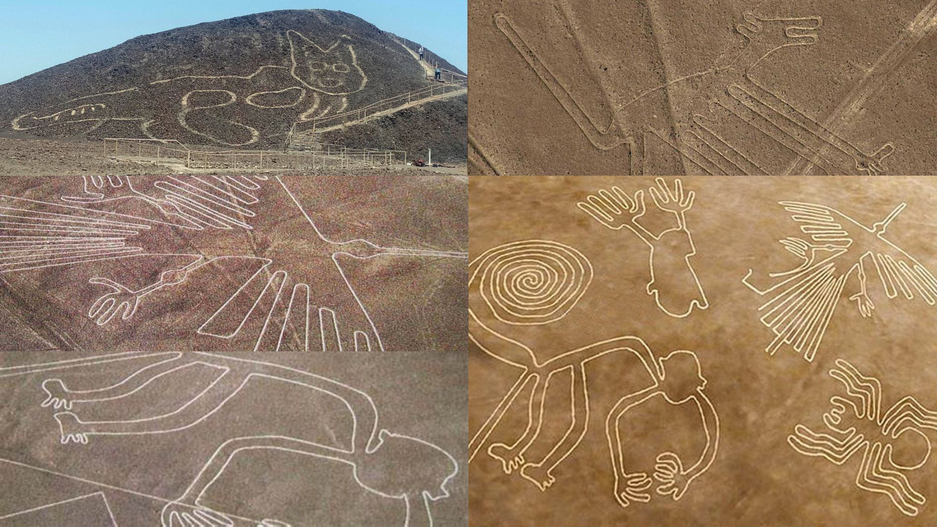 Las Líneas de Nazca y sus enigmáticas formas que serían las rutas de nuevos  senderos y caminos - Infobae