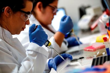 "Cuentan con todo el apoyo a través de las instituciones gubernamentales correspondientes", Recordó Alomía a todos los científicos mexicanos que trabajan en vacunas (Foto: EFE / Sebastiao Moreira)