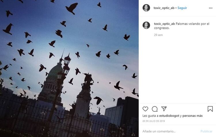 Buckland de paseo en el Congreso de la Nación Argentina (Instagram)