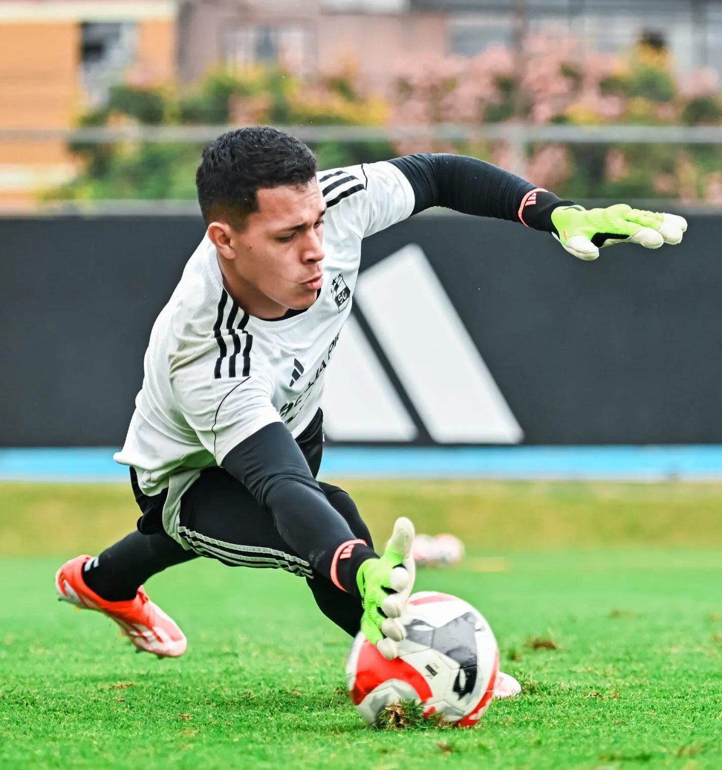 Renato Solís sufrió una lesión en la rodilla en pleno entrenamiento de Sporting Cristal. - créditos: Sporting Cristal