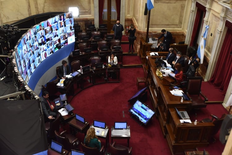 La imponente imagen de la primera sesión del Senado virtual en la historia argentina (Franco Fafasuli) 