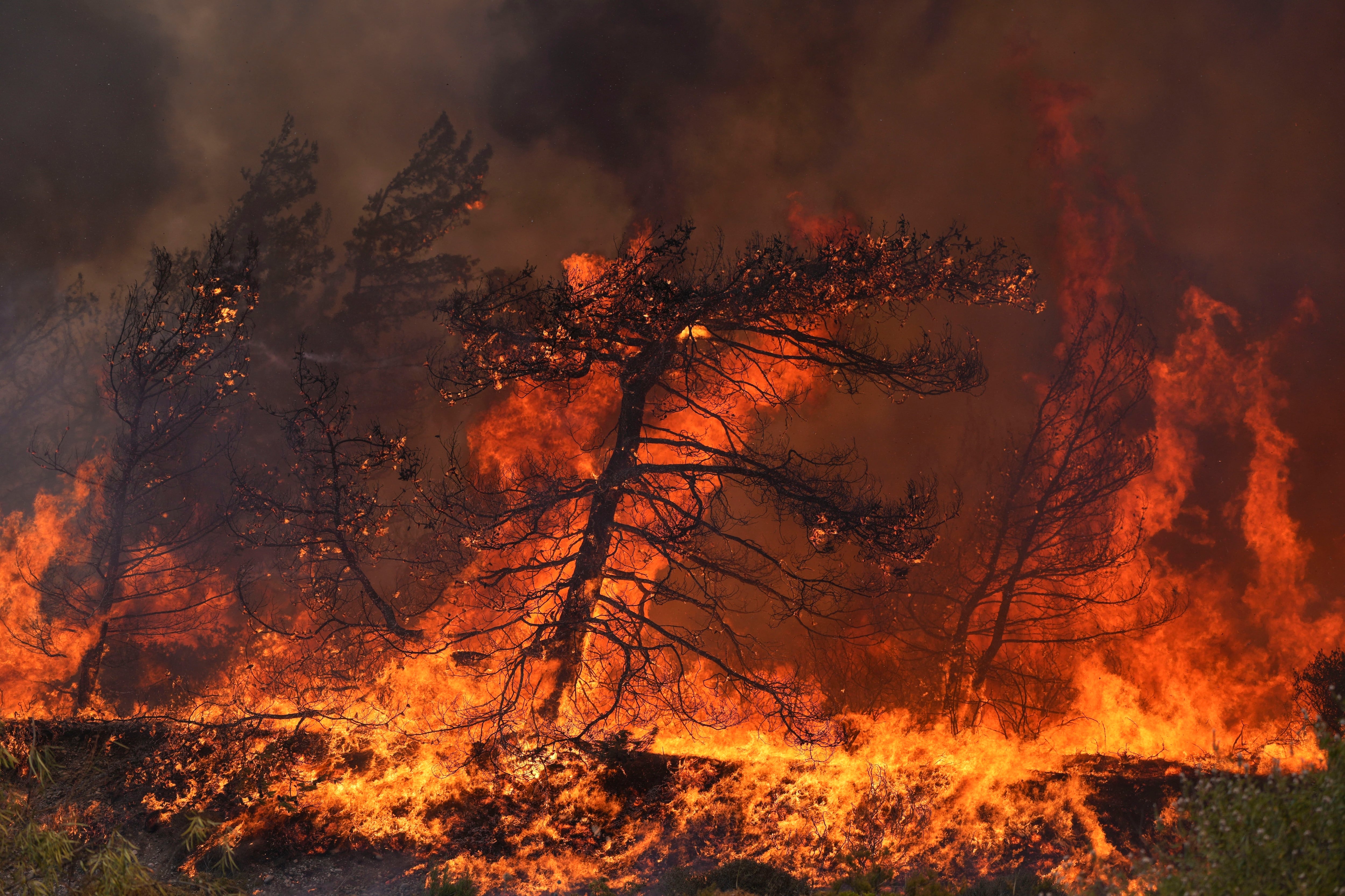 Las llamas arrasan un bosque en la localidad de Vati, en la isla de Rodas, en el sureste de Grecia, el 25 de julio de 2023. (AP Foto/Petros Giannakouris)