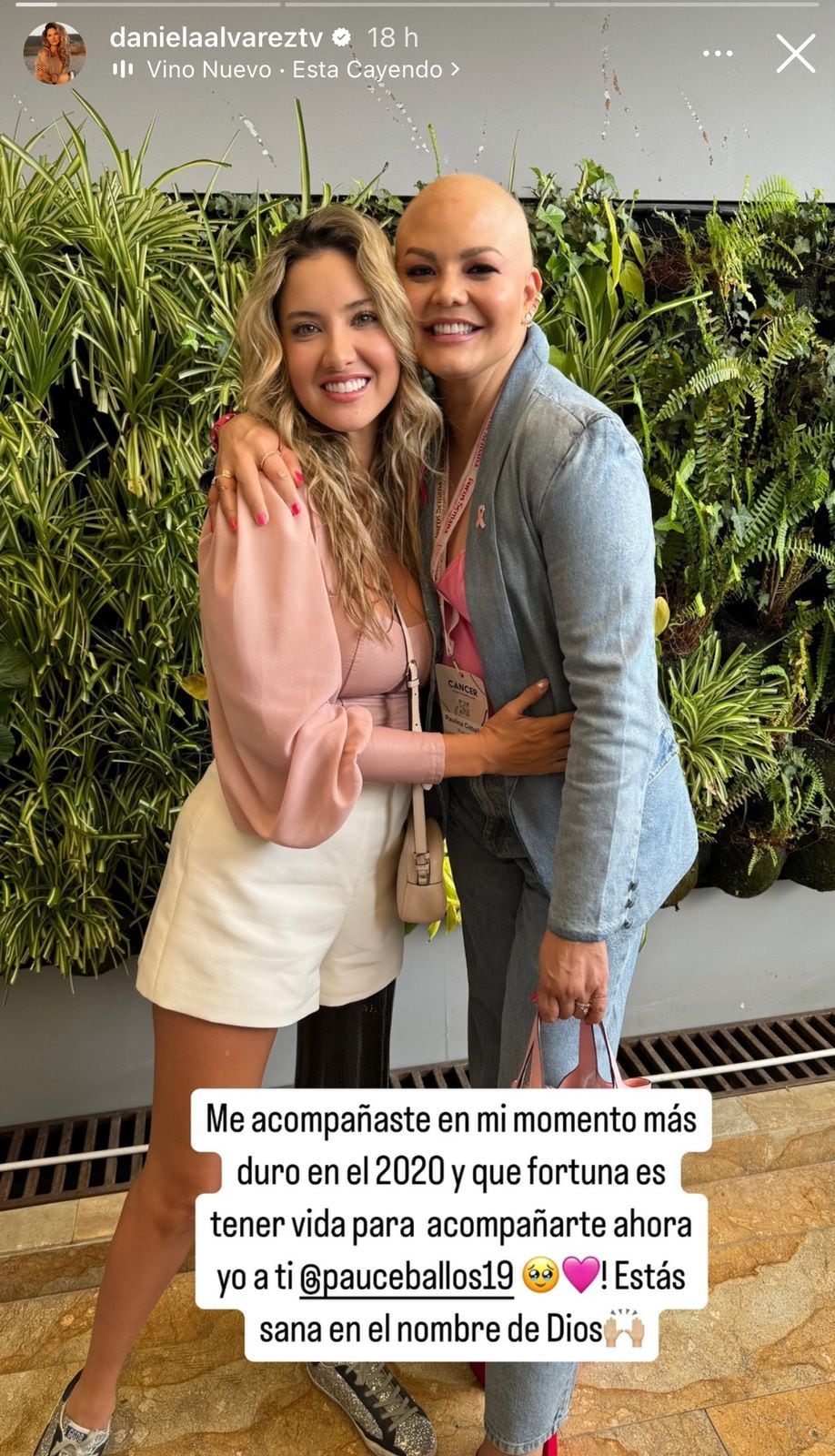 Daniela Álvarez prometió su apoyo a Paulina Ceballos en su lucha contra el cáncer de seno - crédito @danielaalvareztv/IG