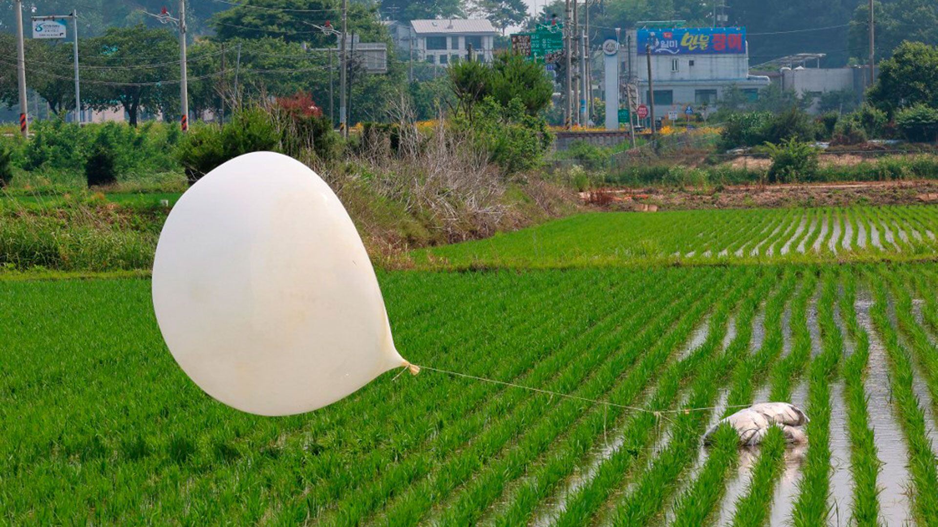 globos Corea del Norte