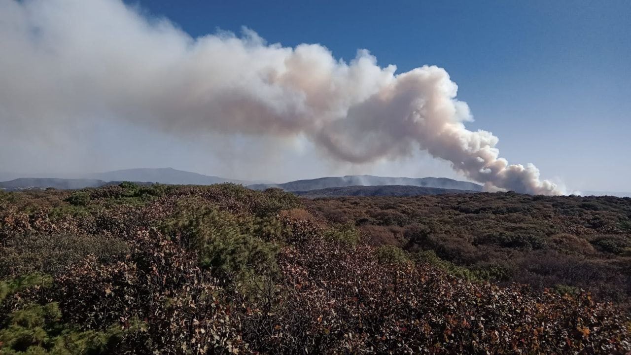 Incêndio de Jalisco, floresta de La Primavera