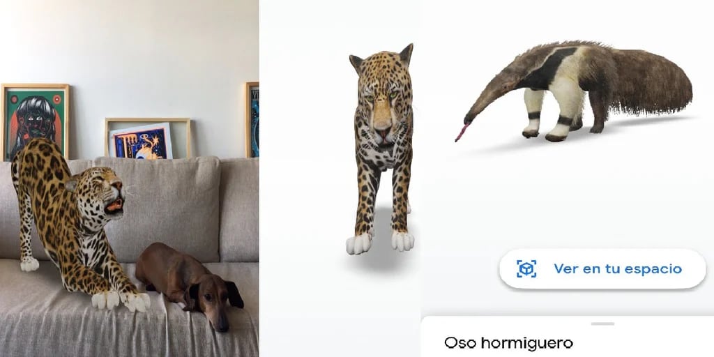 Pasa la cuarentena con un oso o tigre en casa gracias a Google