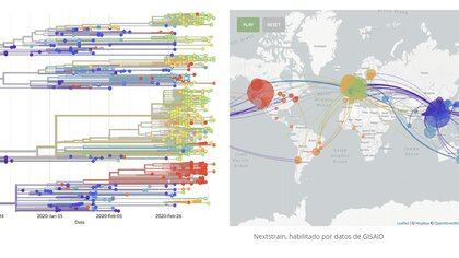 Secuencias genómicas completas hasta abril del 2021 en Gisaid
