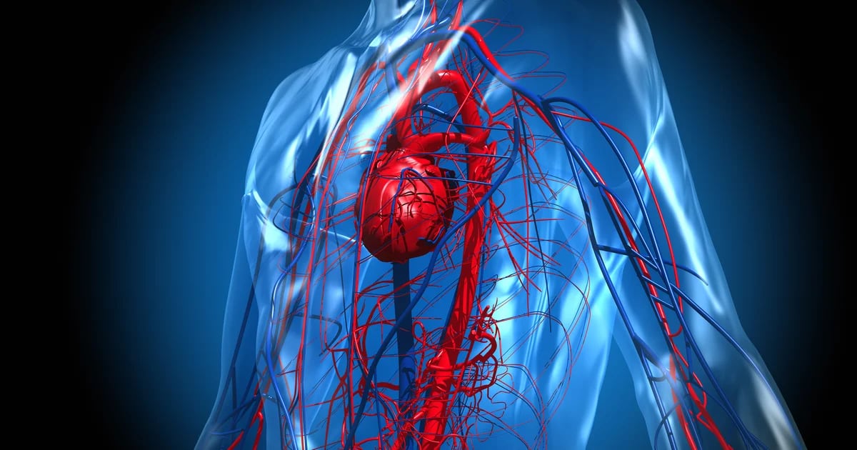 La American Heart Association agrega el sueño a la lista de salud  cardiovascular