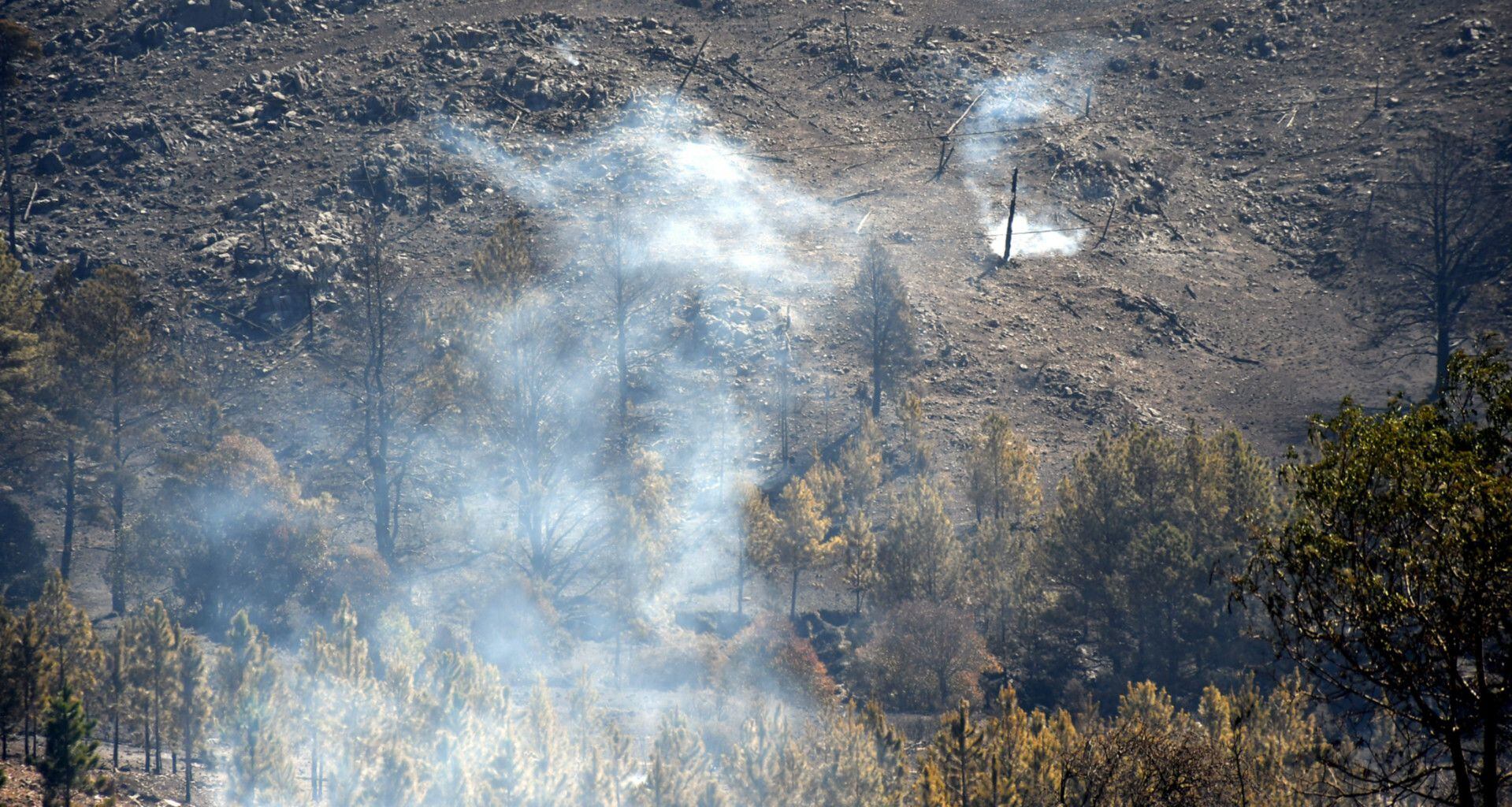 Incendios Córdoba (Télam)