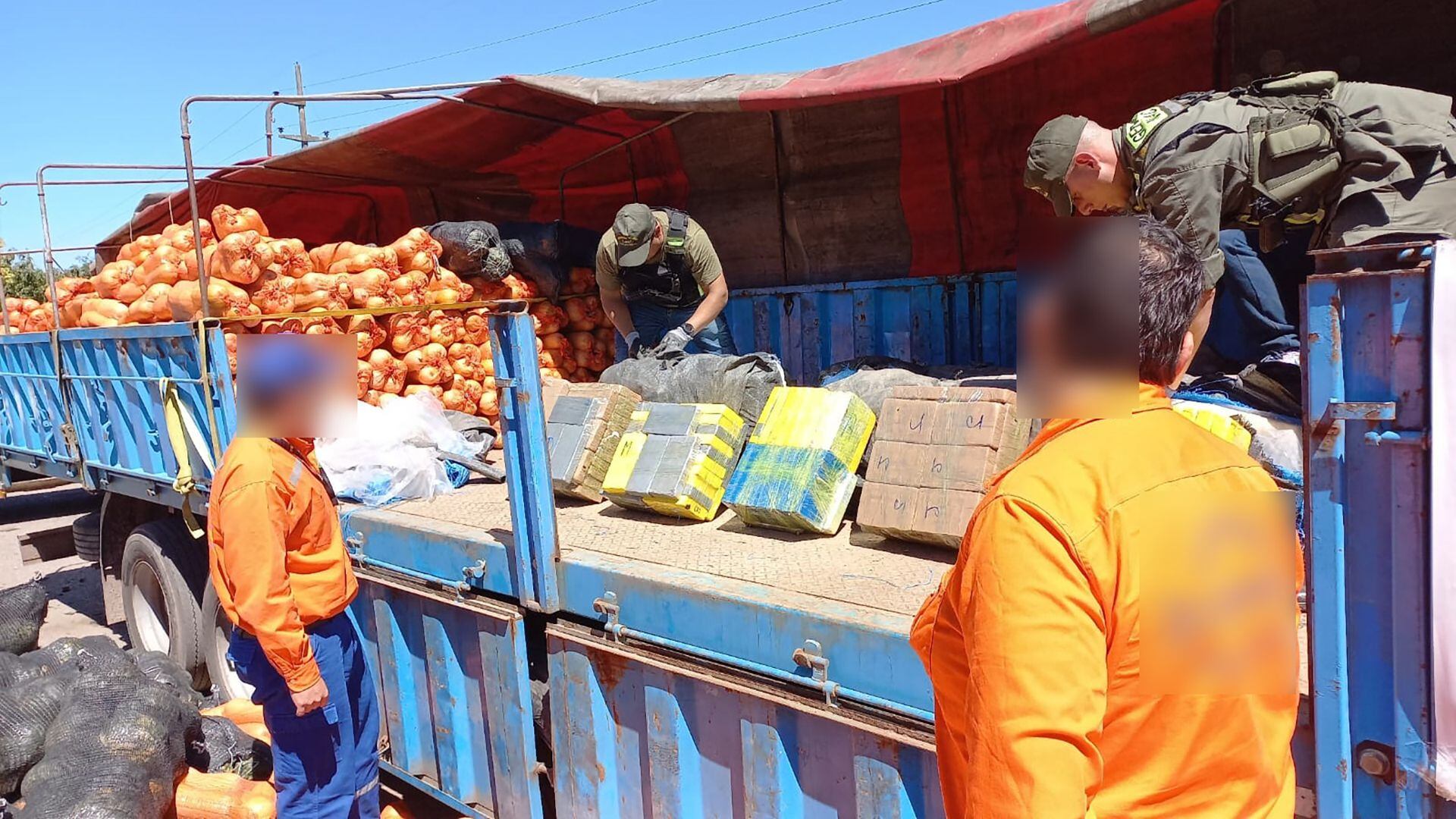 Encontraron 860 kilos de cocaína ocultos entre una carga de zapallos