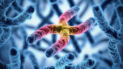 El síndrome del cromosoma X frágil es un trastorno genético que afecta aproximadamente a 1 de cada 4.000 hombres y una proporción menor de mujeres (Shutterstock)