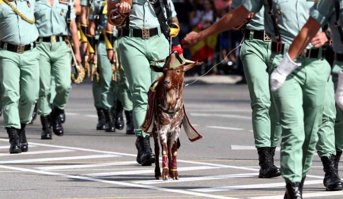 La Cabra De La Legi N Se Llama Pacoli Qu Nombre Le Habr As Puesto T Forocoches