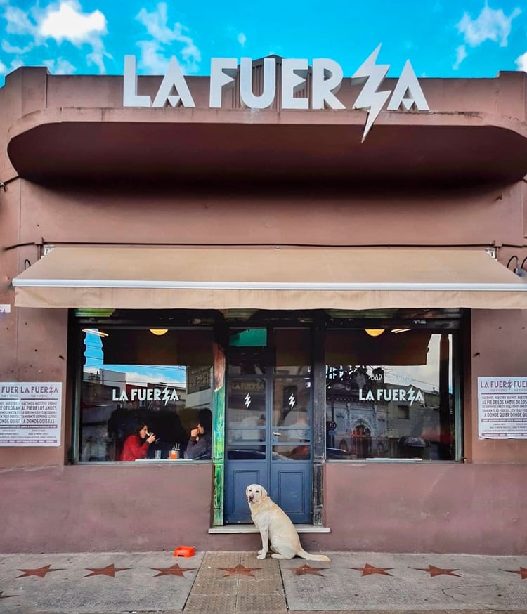 Los principales nombres del país en bares, restaurantes y vinos se unieron para crear La Fuerza (Instagram @jonaspapier)