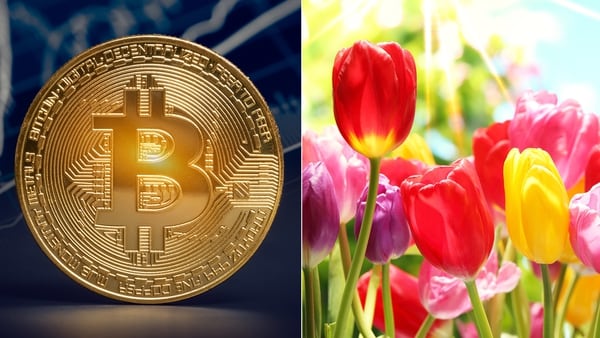 La moneda digital ha sido comparada por expertos con la fiebre de los tulipanes del siglo XVII (Getty)