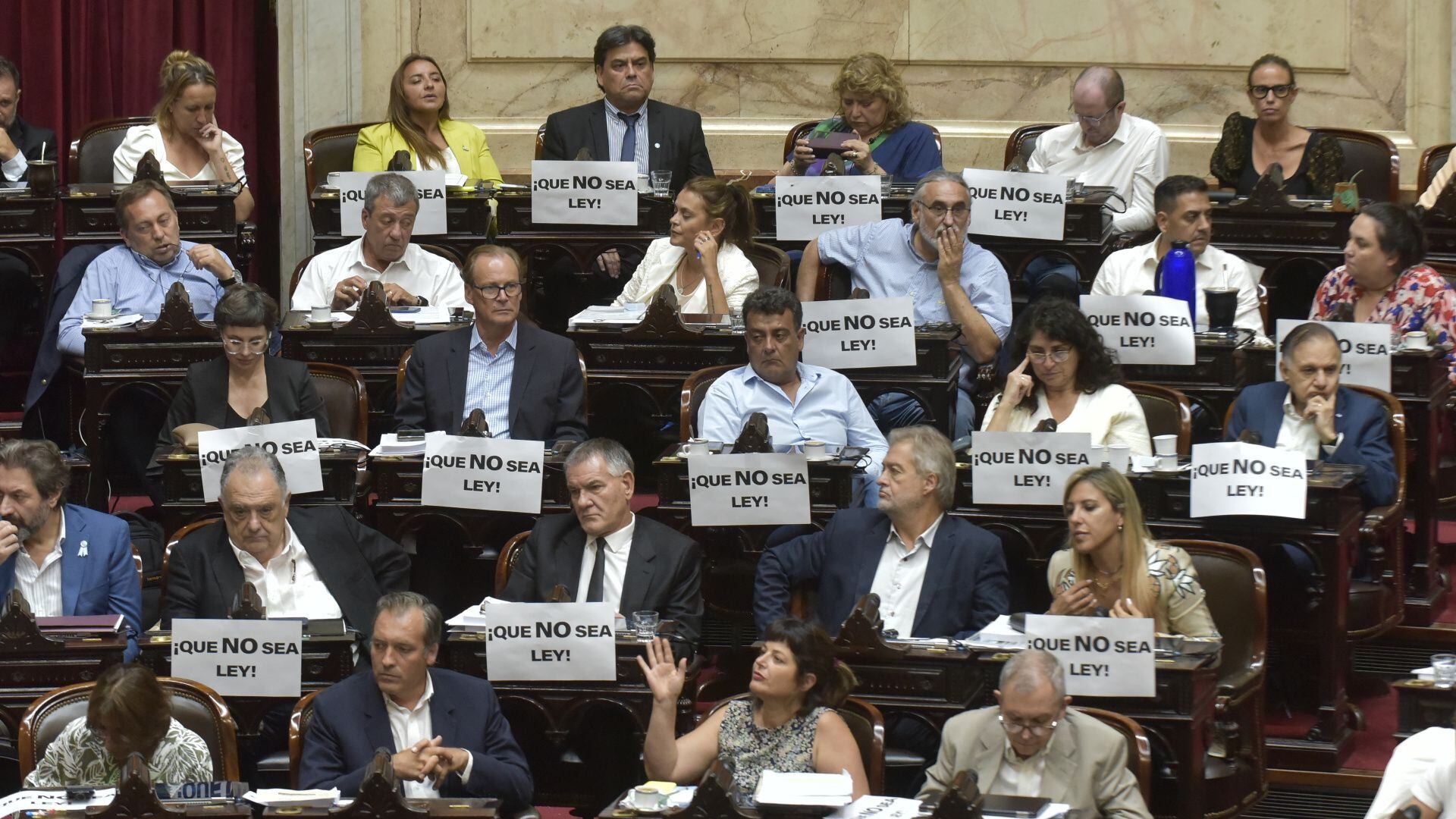 Debate de la Ley Ómnibus en el Congreso 02/02/2024