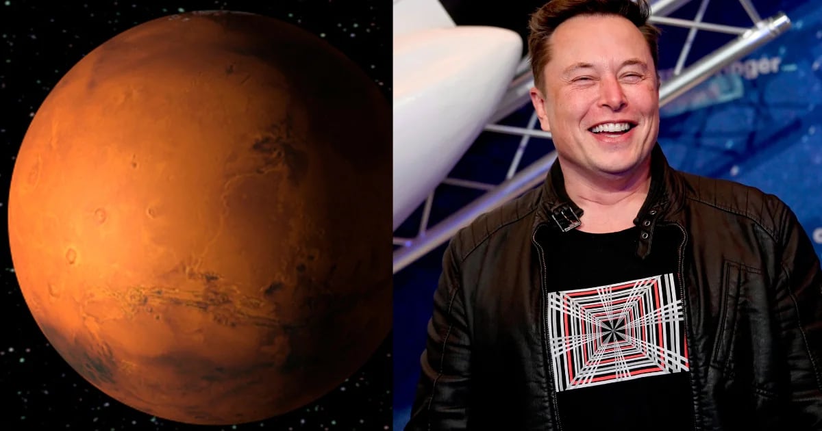 Was muss Elon Musk tun, um den Mars zu erobern?