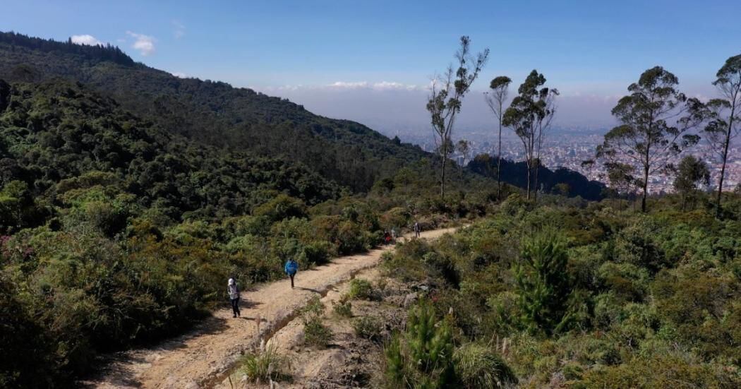 Senderos ecológicos de los cerros orientales de Bogotá-Colombia