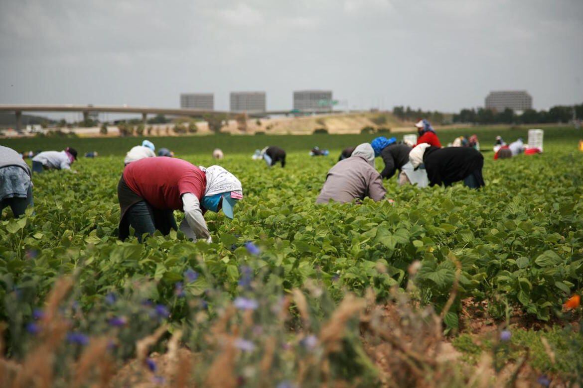 Estados Unidos Nuevas Reglas Determinan Quién Puede Ser Deportado