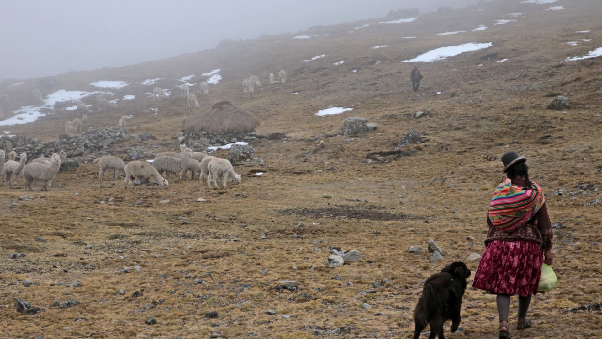 Bajas temperaturas afectarán a diversos distritos del Perú de la zona sierra.