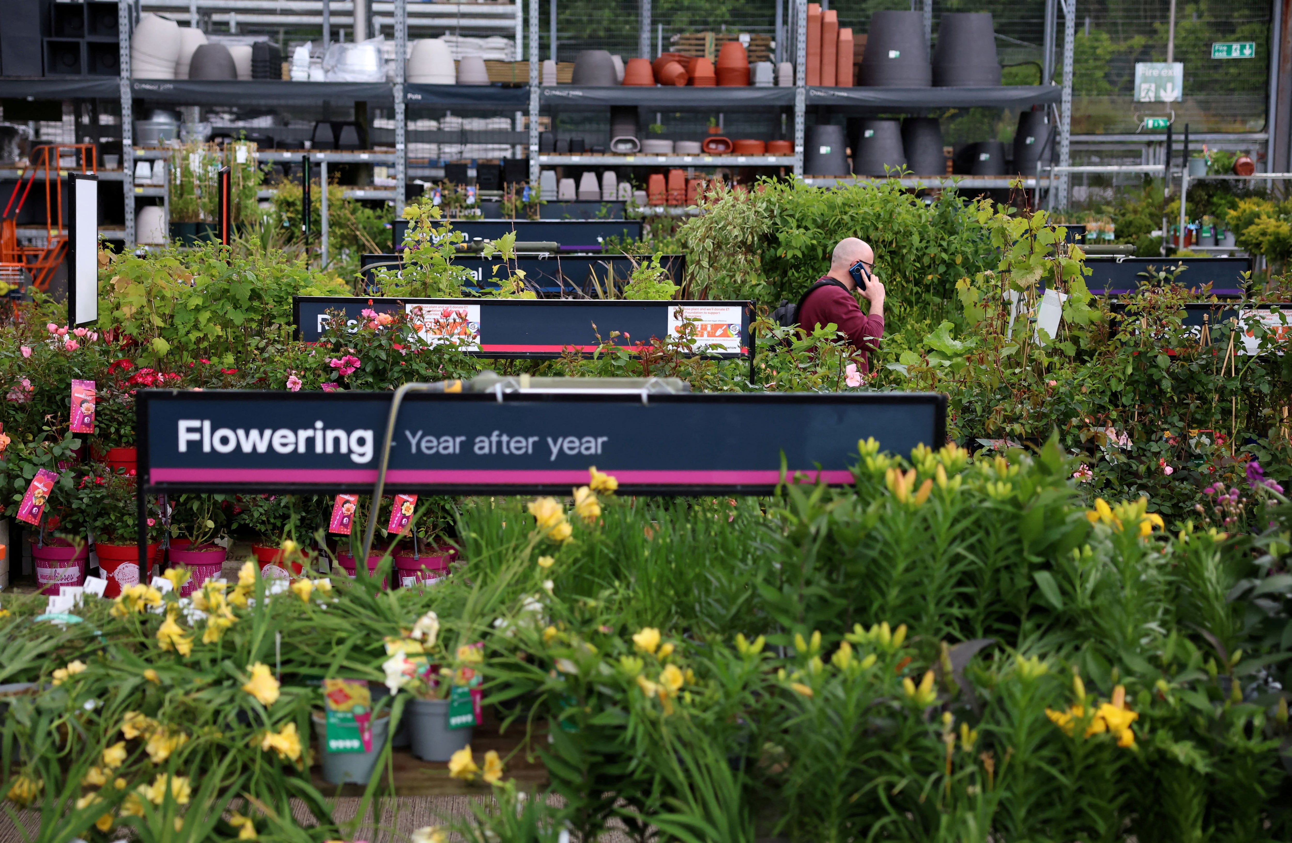 El cuidado especial de plantas en invierno puede requerir trasladarlas al interior para protegerlas de climas severos. (REUTERS/Phil Noble)