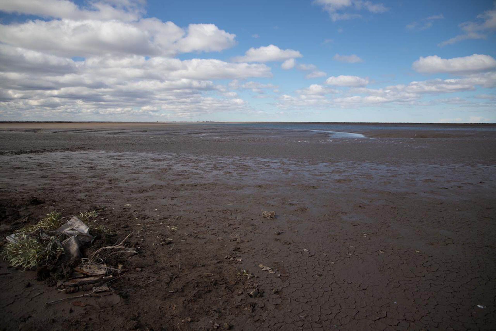 Una imagen del cangrejal donde un pescador halló el cuerpo esqueletizado de Facundo Astudillo el 15 de agosto de 2020. La versión que sostiene la policía es que caminaba por unas vías y se ahogó (Lihueel Althabe)