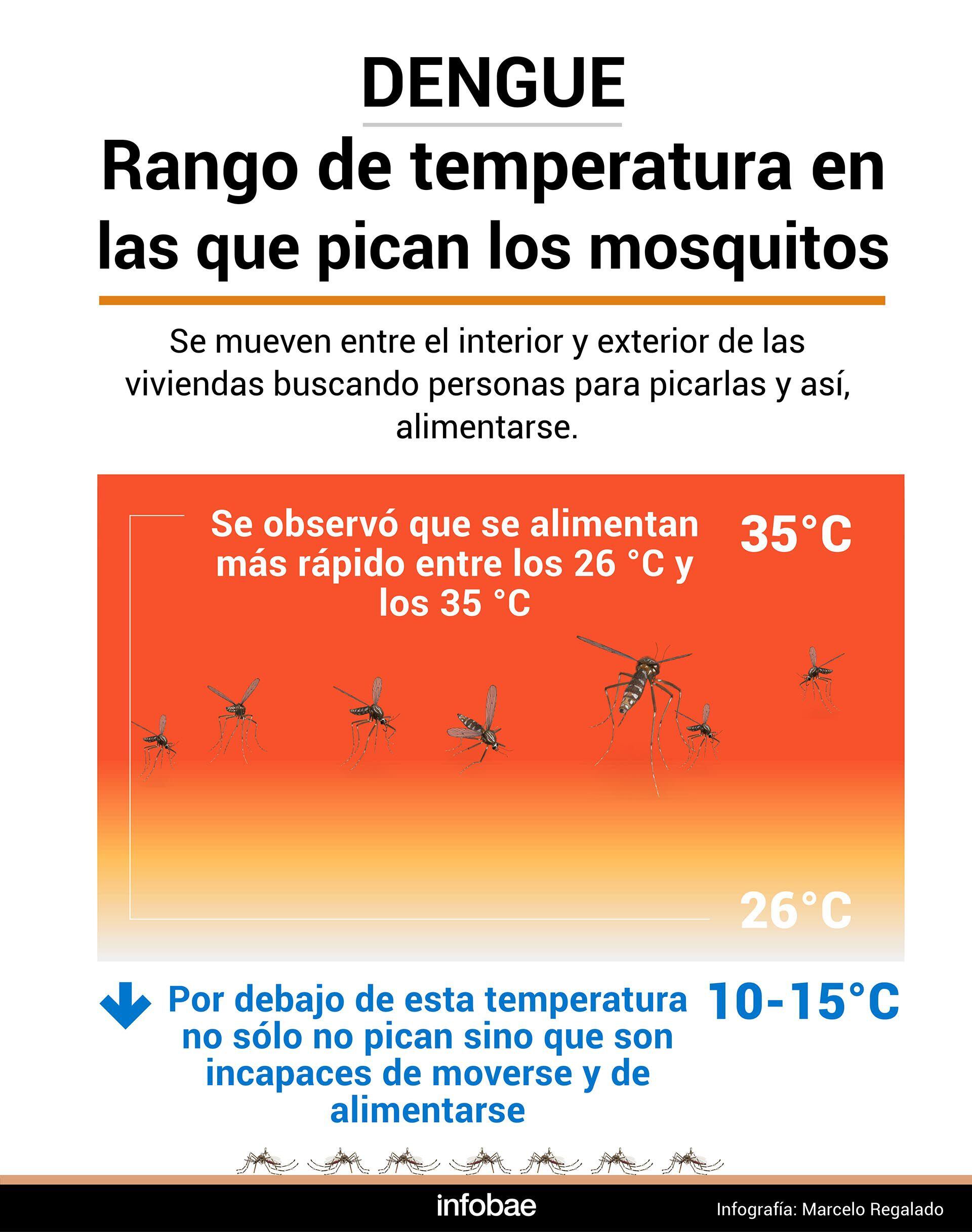 Cuanto más alta es la temperatura, más favorece la supervivencia de las poblaciones de mosquitos (Marcelo Regalado)