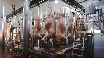 Con políticas públicas a favor, la exportación de carne vacuna también se incrementaría (NA)