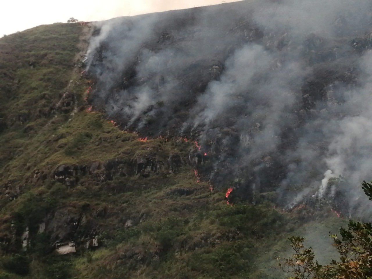 Incendio en Prado Tolima. Foto: @DNBomberosCol