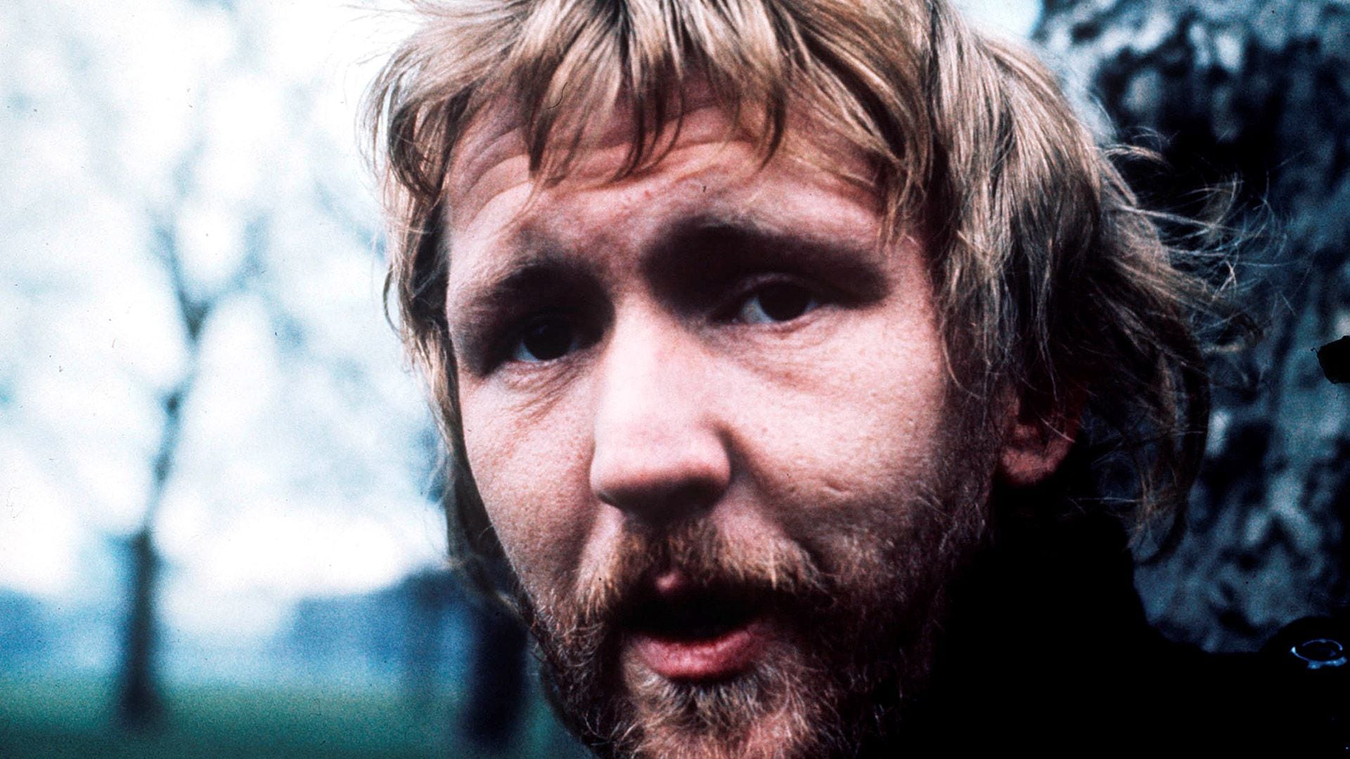 Harry Nilsson: vida, pasión y excesos del gran compinche de John Lennon -  Infobae