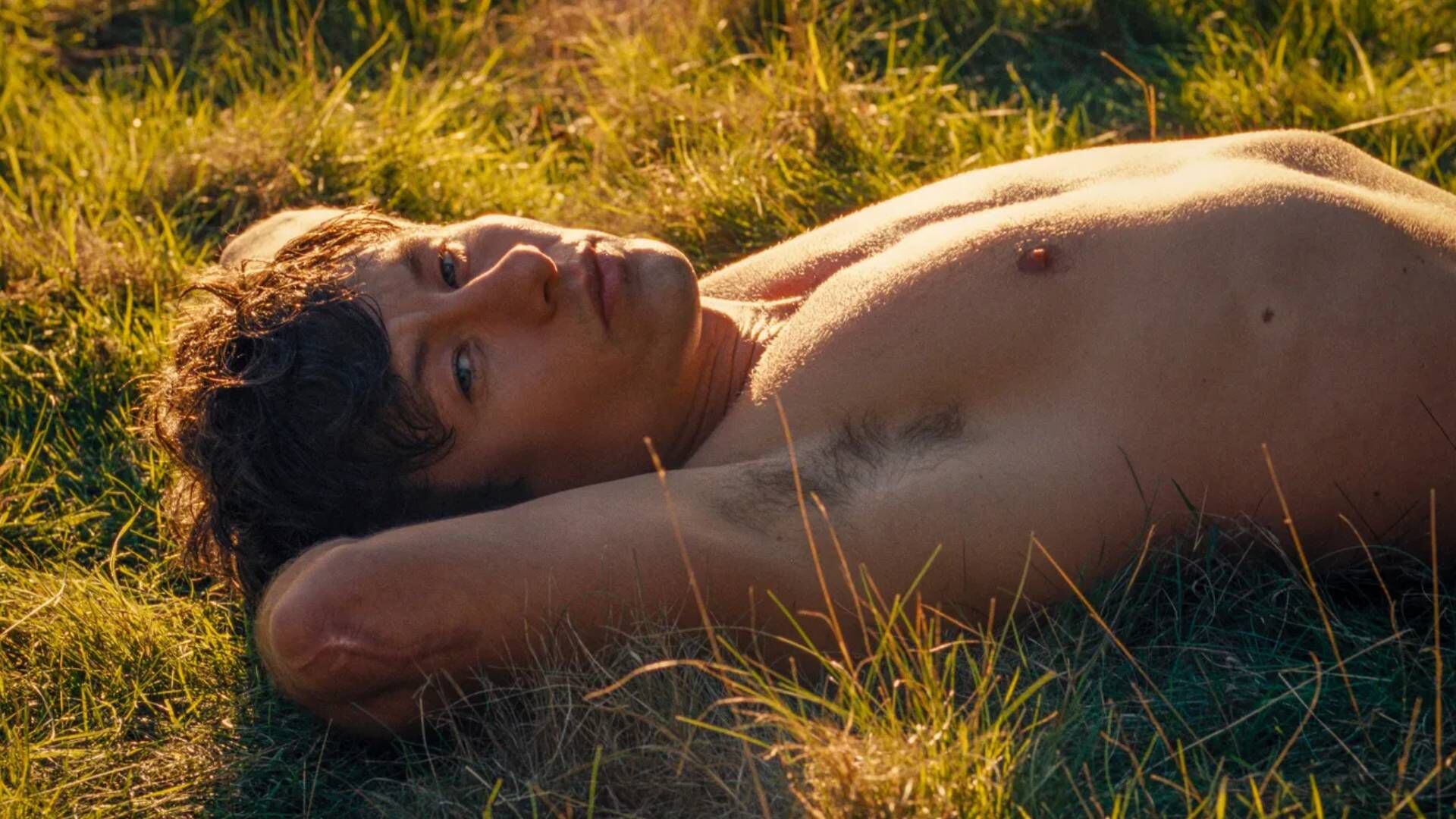 Lujuria, poder y escenas de sexo incómodas: la película más polémica de  2023 llegó a streaming - Infobae