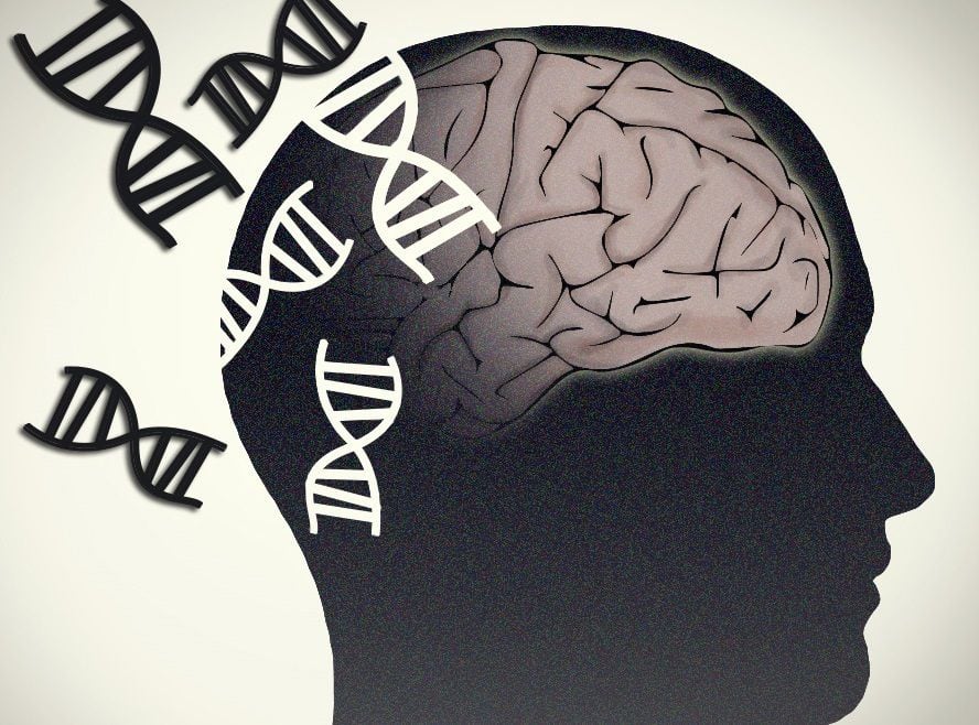 Los investigadores han estudiado tres potentes impulsores genéticos de la enfermedad de Alzheimer que comúnmente están mutados en el Alzheimer hereditario de inicio temprano FLICKER/NATIONAL HUMAN GENOME RESEARCH INSTITUTE 