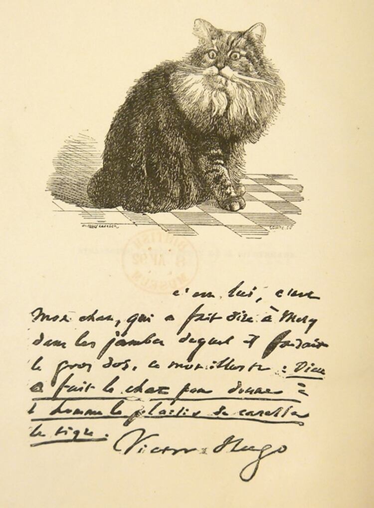 “Dios inventó el gato a fin de que el hombre tenga un tigre para acariciar en casa” (Victor Hugo). Retrato de Chanoine, su gato abisinio. The British Library. Londres