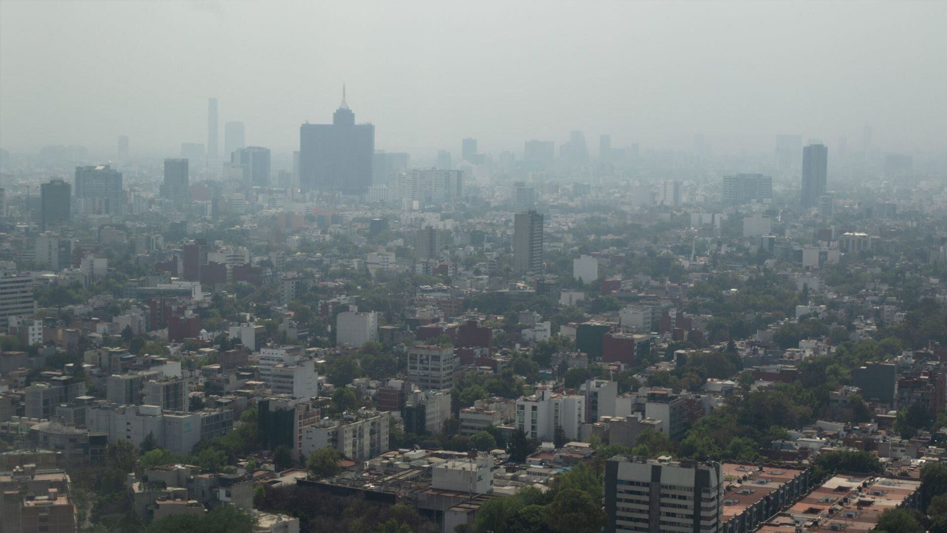 Así está la calidad del aire de la CDMX y Edomex este 23 de abril