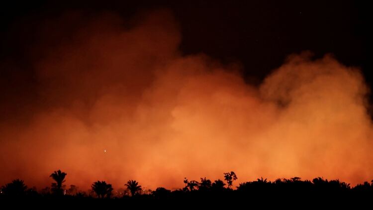 El Amazonas es considerado el pulmón del mundo (Foto: Reuters)