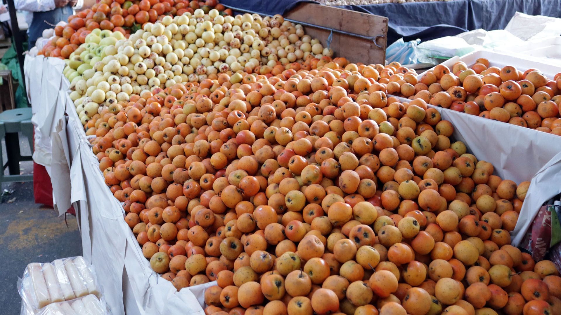 Disfruta de la riqueza cultural y gastronómica de Puebla en la Feria del Tejocote, donde el sabor del tejocote se combina con la tradición. (Imagen: Margarito Pérez Retana)