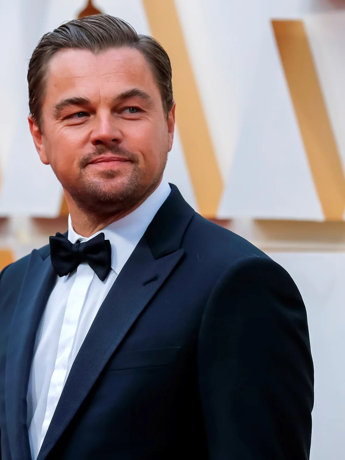 Foi fácil como leonardo dicaprio ganhar o oscar mochila grande capacidade  mais novo natação personalizado saco de desporto escolar