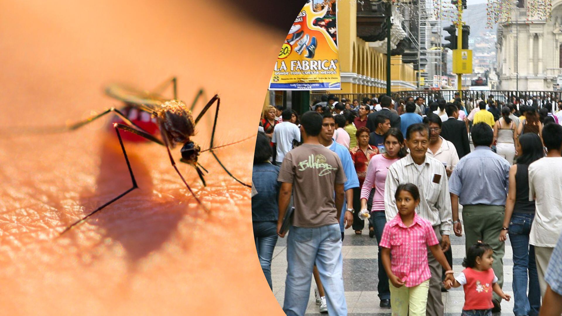 Colegio Médico Advierte Que La Epidemia Del Dengue Se Ha Desbordado En El Perú Infobae 0157