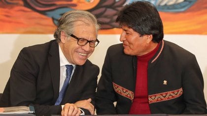 Luis Almagro voltea y viola sistema de la OEA para apoyar a Evo Morales - Infobae
