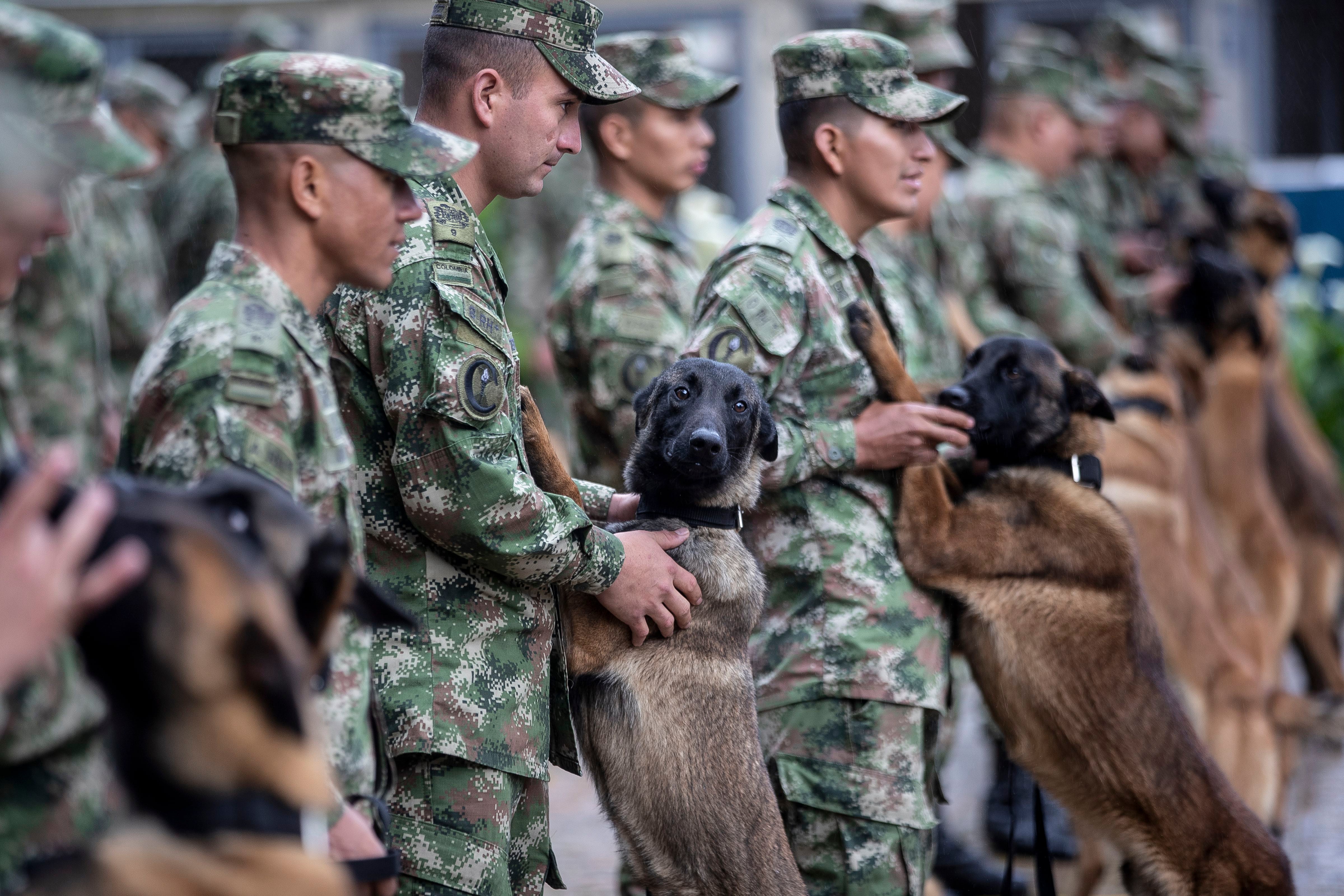 ¿Cómo se entrena a un animal para que cumpla un trabajo determinado? 