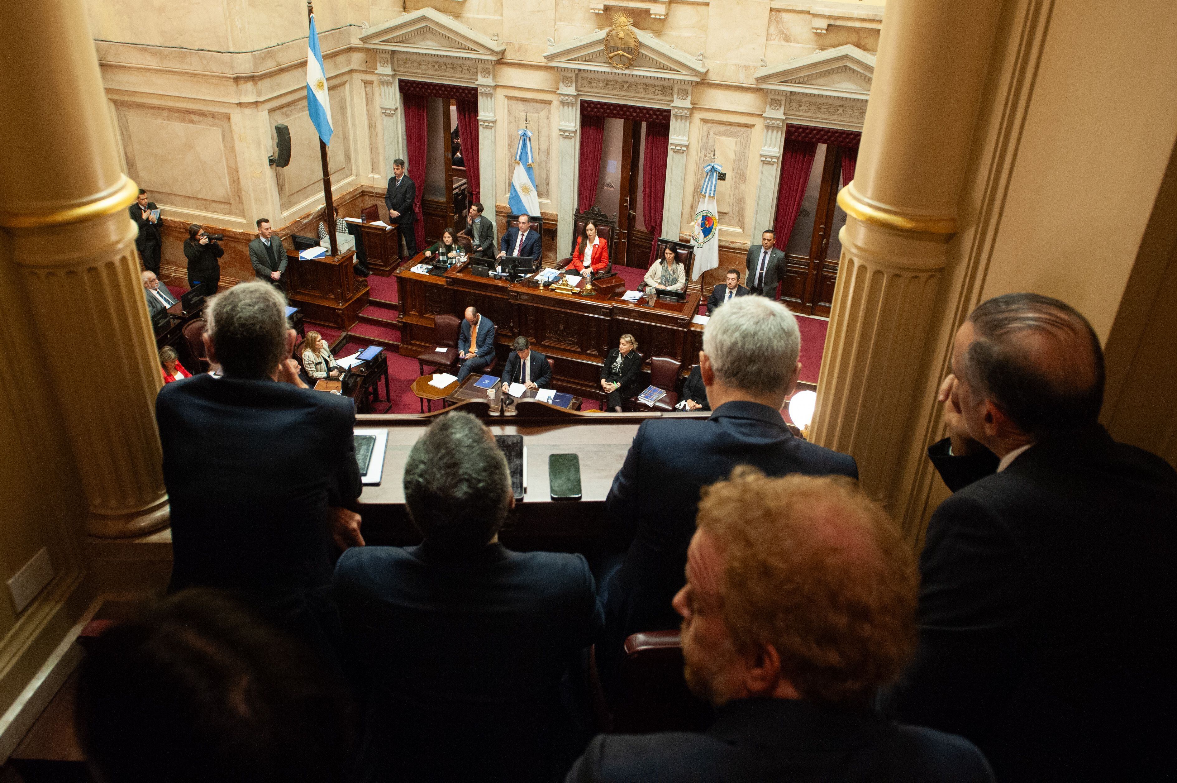 Nicolás Posse expone en el senado