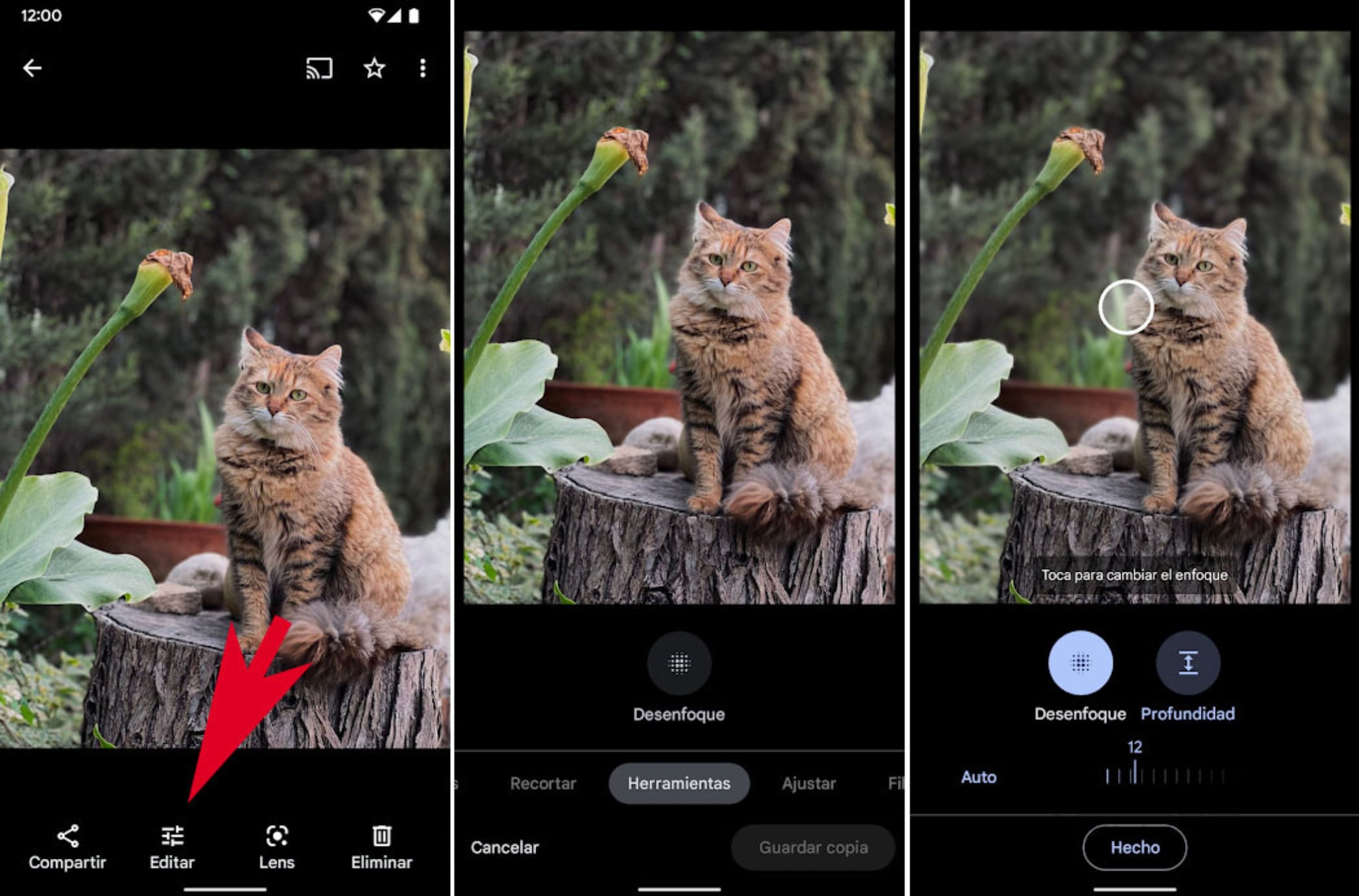 Floutez l'arrière-plan d'une image avec Google Photos. (photo : Androidphoria)