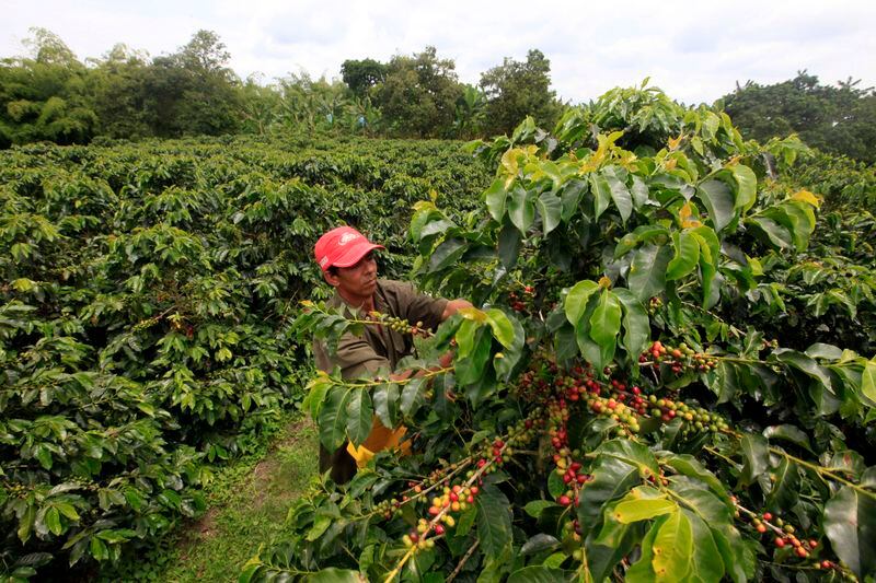 El presidente Gustavo Petro explicó los objetivos de la reforma agraria y su inclusión en un acuerdo nacional - crédito José Miguel Gómez/Reuters