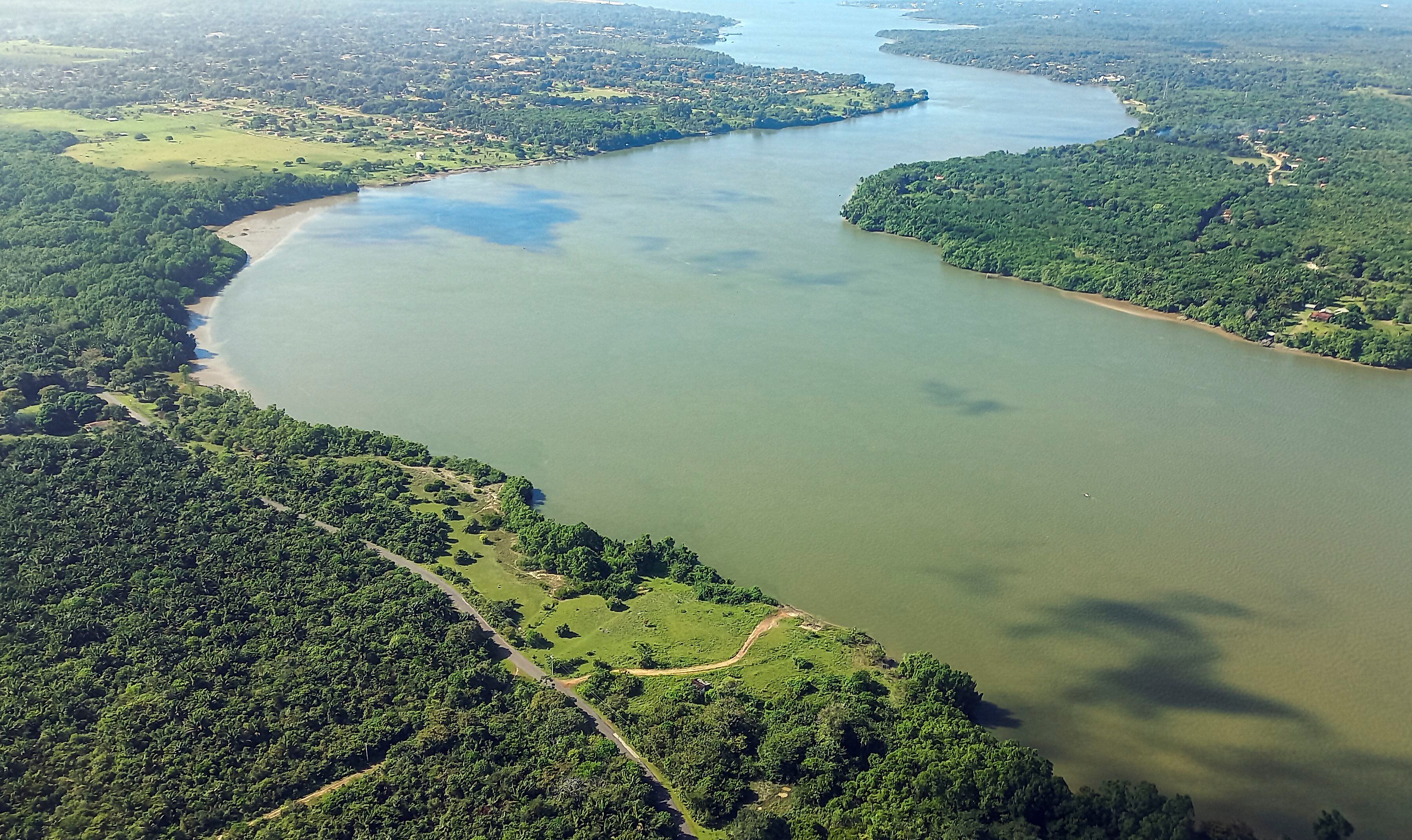 La bioeconomía se perfila como una respuesta innovadora y necesaria para los desafíos actuales que enfrentan el país y el mundo (EFE)
